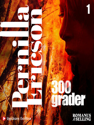 cover image of 300 grader